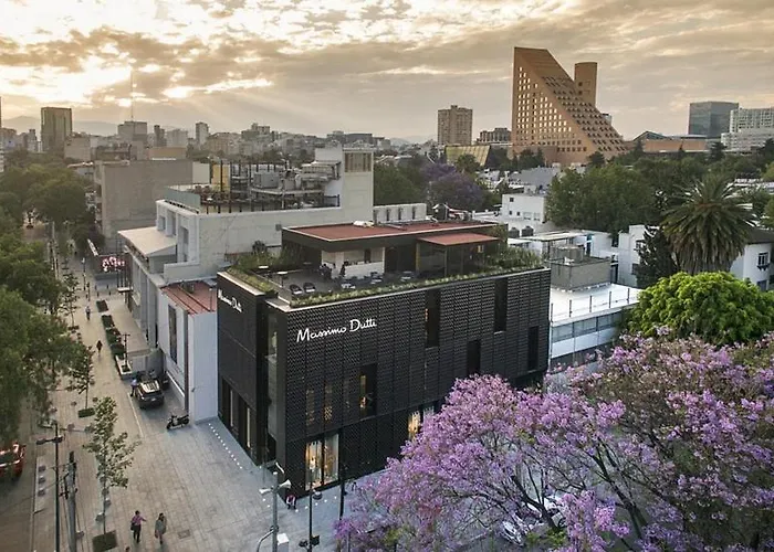 Caravansaro Goldsmith 212 Polanco Guest house *